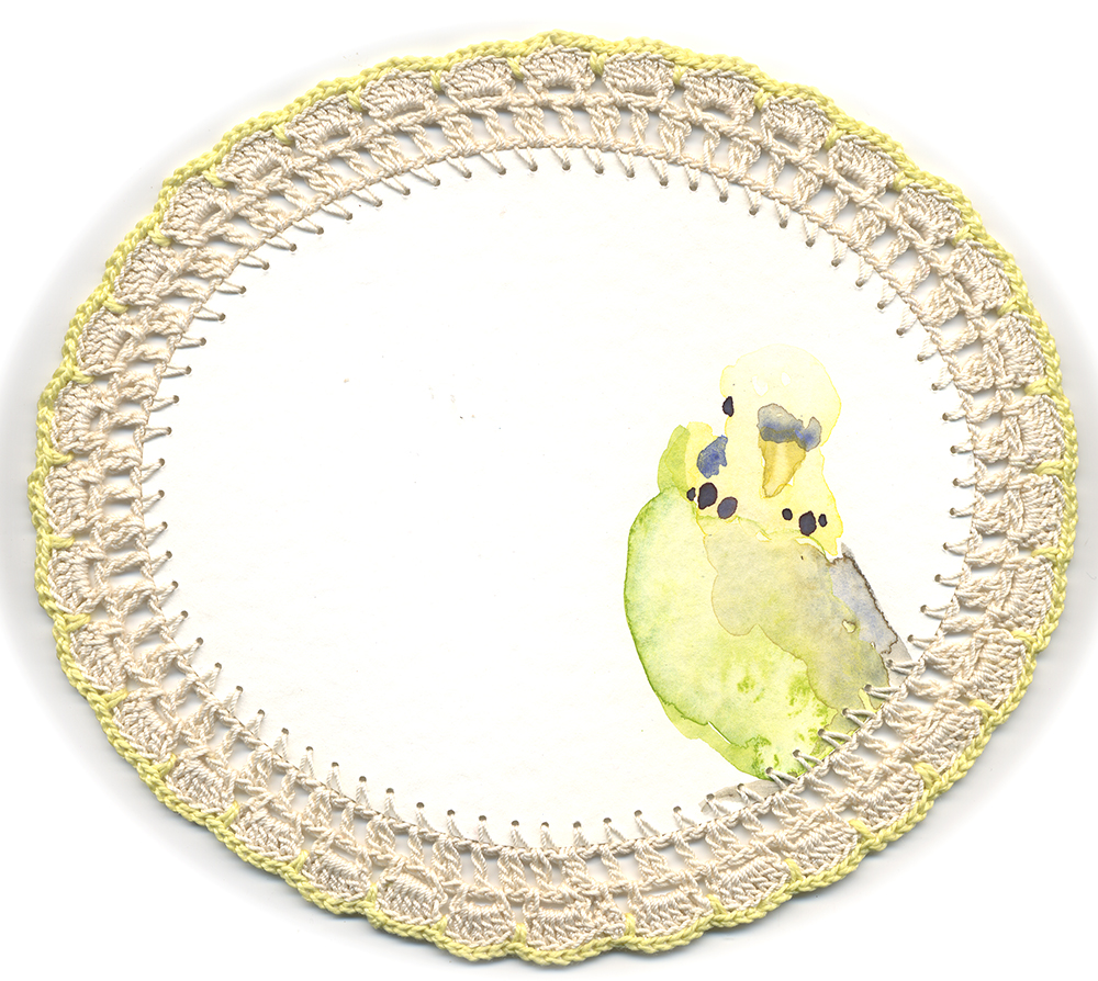 Pucki, watercolour and crochet artwork of a budgerigar by Bettina Kaiser